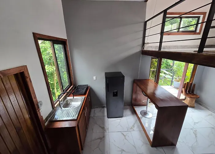 Sestudio In With Jungle Views Nuevo Arenal