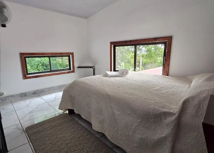 Sestudio In With Jungle Views